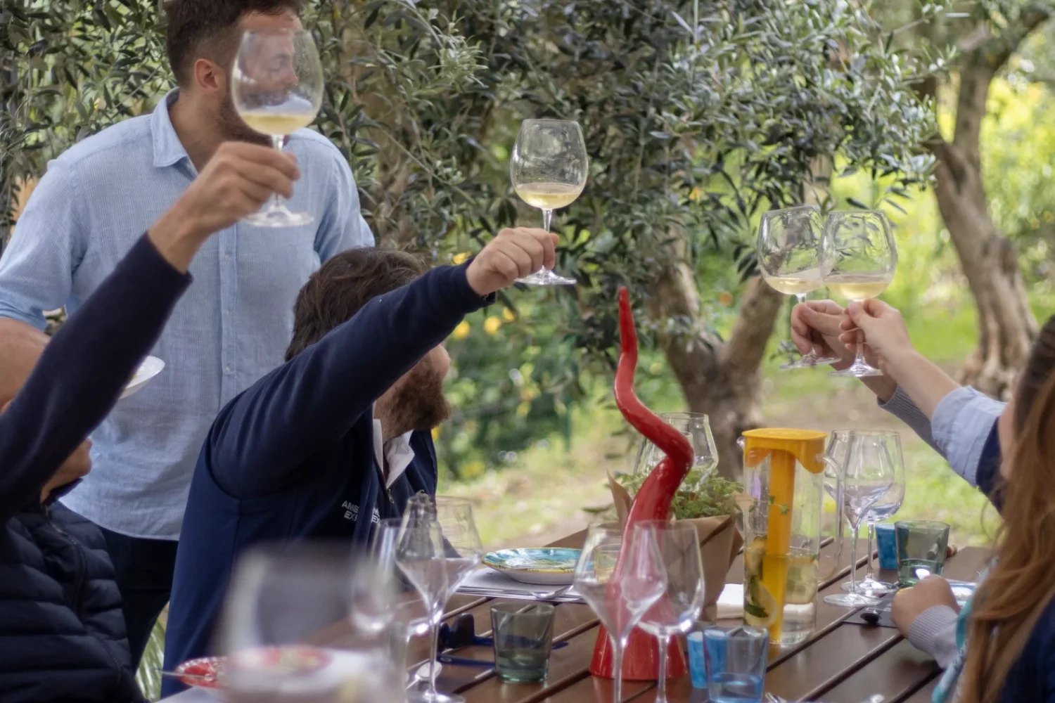 Wine Pairing Lunch